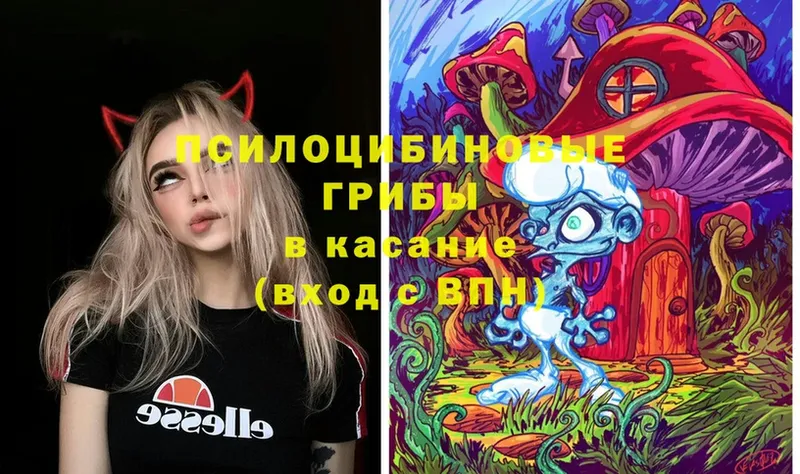 Галлюциногенные грибы MAGIC MUSHROOMS  купить  цена  Жуков 